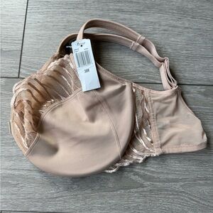 Paramour Felina front clasp lece bra 36H